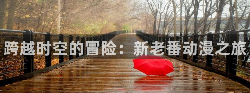 动漫之家隐藏：跨越时空的冒险：新老番动漫之旅