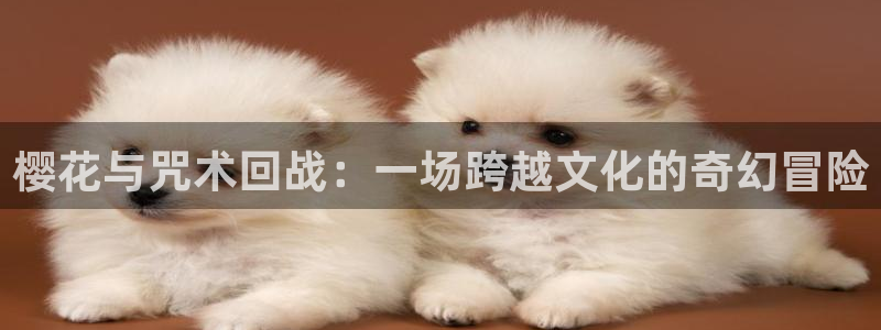 大妈之家就是动漫之家吗：樱花与咒术回战：一场跨越文化的奇幻冒险