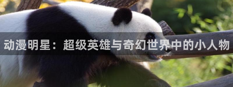 动漫之家看不了的漫画去哪看：动漫明星：超级英雄与奇幻世界中的小人物