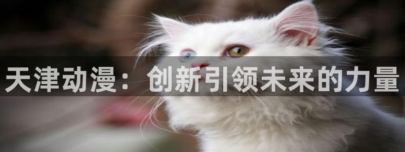 小美代如是说 动漫之家：天津动漫：创新引领未来的力量