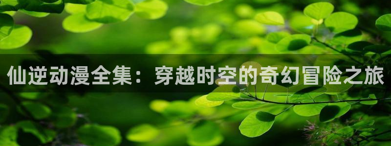 光速蒙面侠21号动漫之家：仙逆动漫全集：穿越时空的奇幻冒险之旅
